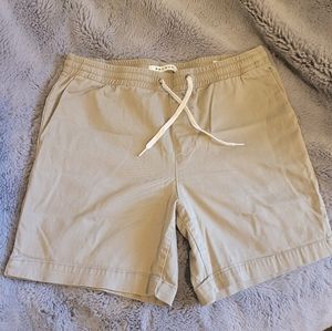 PacSun Tan Men's Shorts